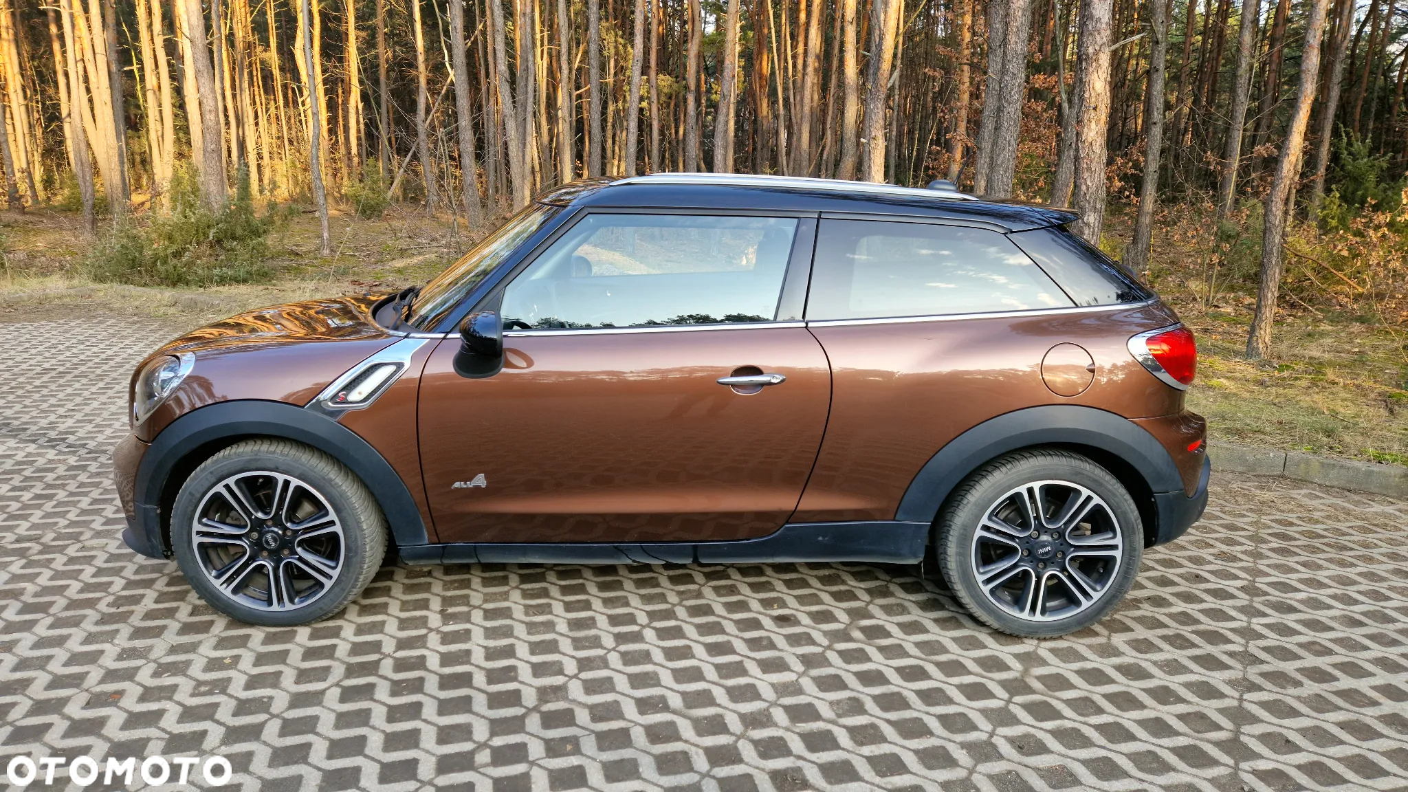 MINI Paceman - 2