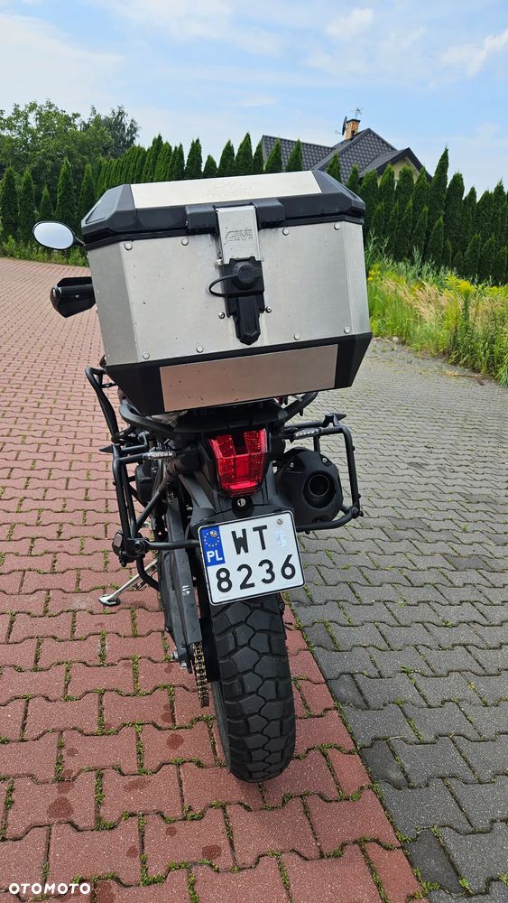 Triumph Tiger