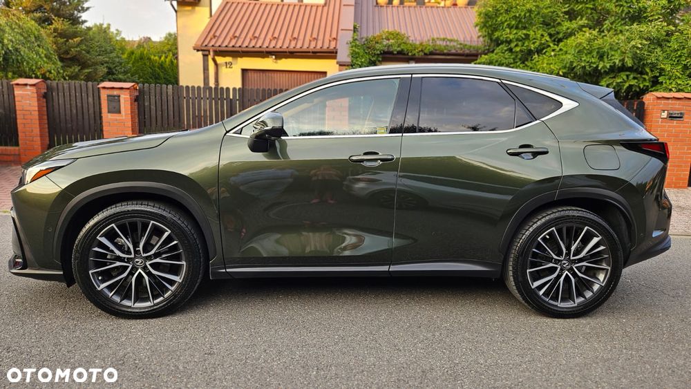 Lexus NX 450h+ Omotenashi AWD - 2