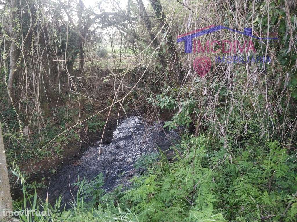 Quinta rural com ribeira - Grande imagem: 3/23