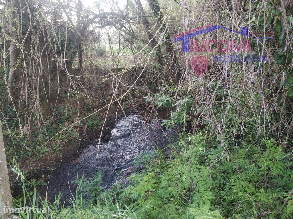 Quinta rural com ribeira - Grande imagem: 3/23