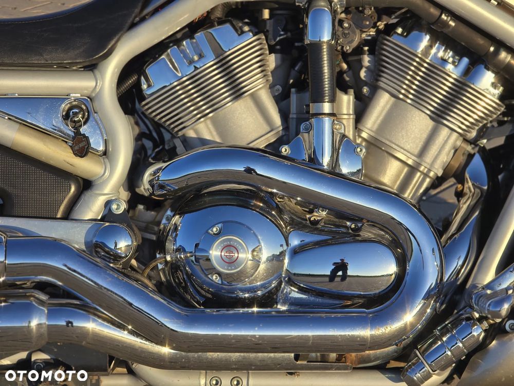 Harley-Davidson V-Rod Street Rod - 7