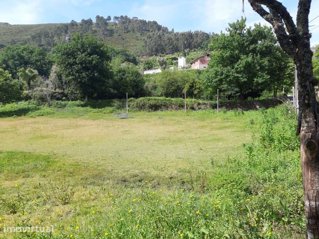 Terreno Agrícola - Valdosende - Grande imagem: 2/8