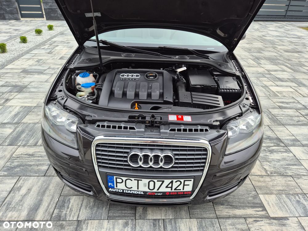 Audi A3 3-drzwiowe 1.9 TDI Ambiente - 22