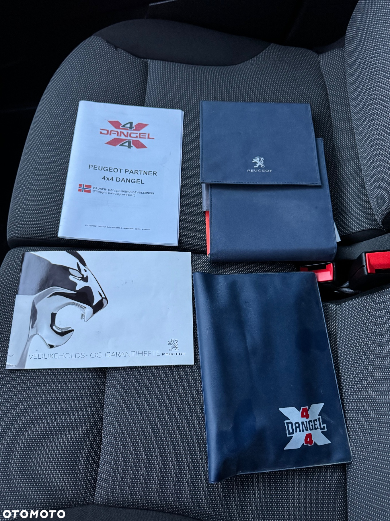 Peugeot Partner 4x4 Dangel - 24