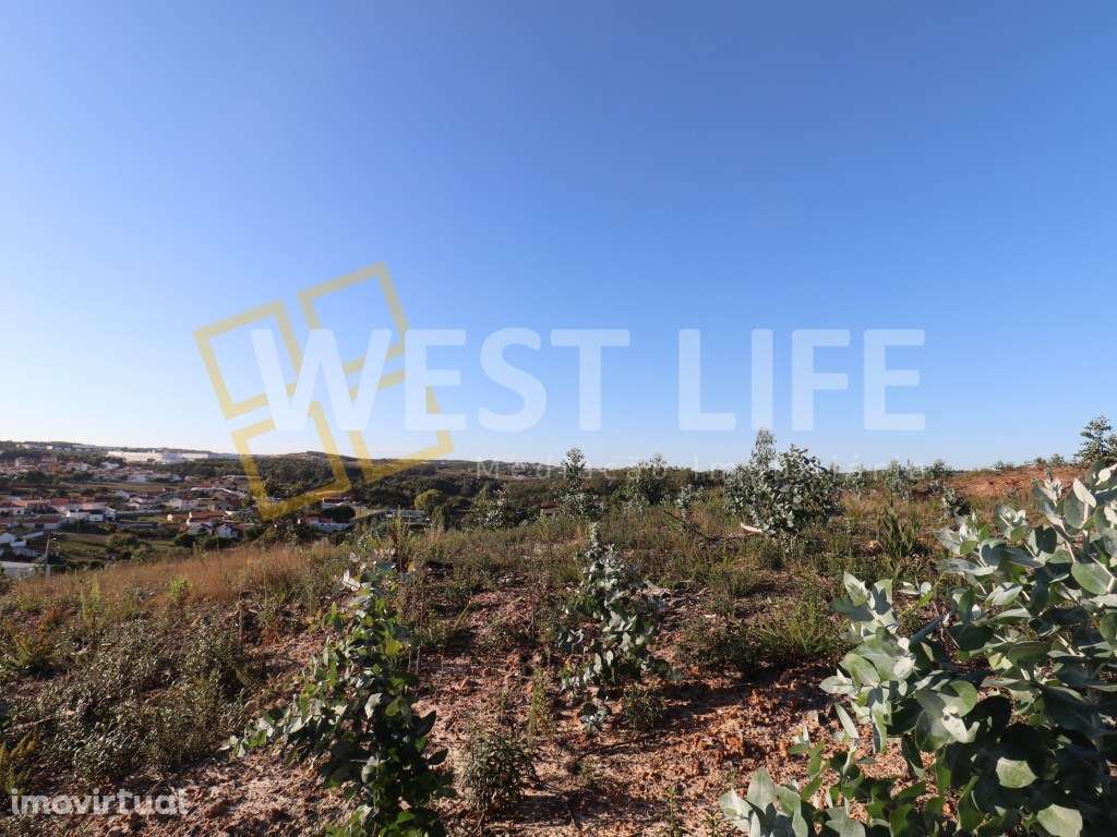 Terreno Rústico 3810m2 e viabilidade de construção, excelente orien... - Grande imagem: 3/14