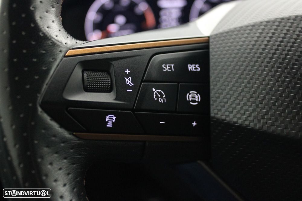 CUPRA Formentor 2.0 TDI — fotografia 10