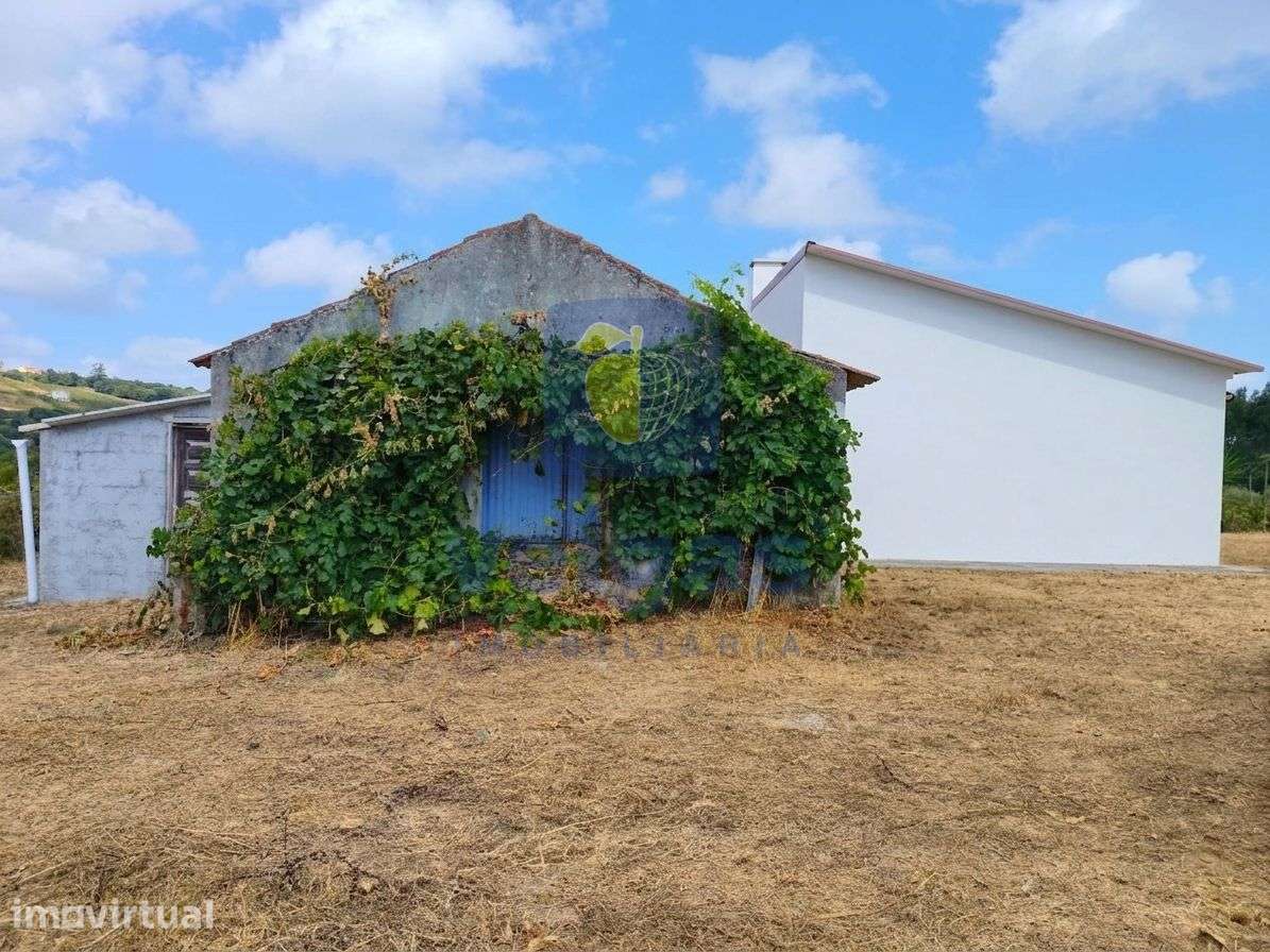 Quinta T3+1 com Vinha, Pomares e Lagar – Gracieira, Óbidos - Grande imagem: 2/27