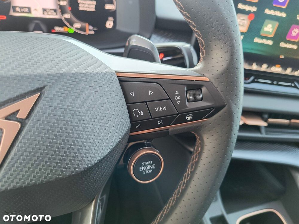 Cupra Terramar - 13