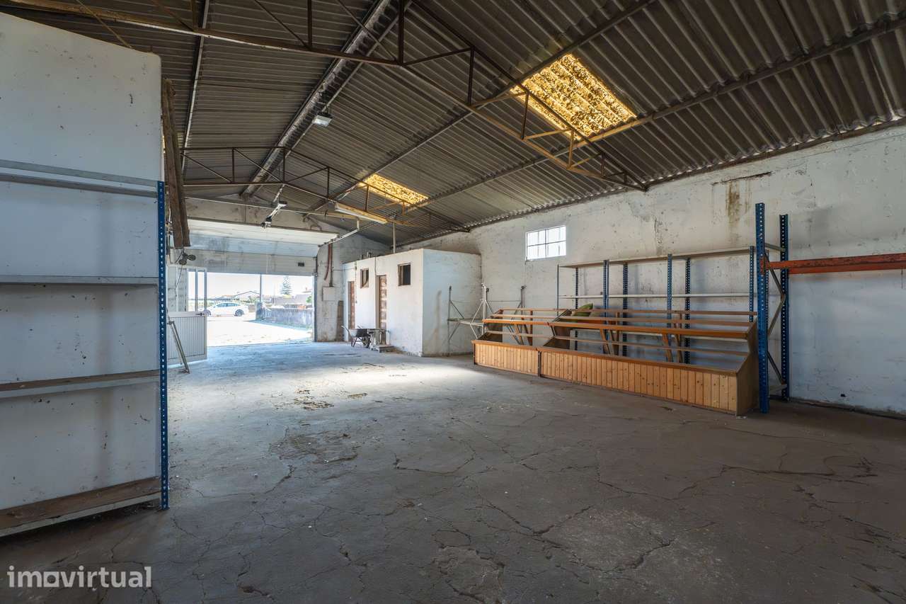 Armazém Industrial para Venda - Murtosa - Grande imagem: 3/7