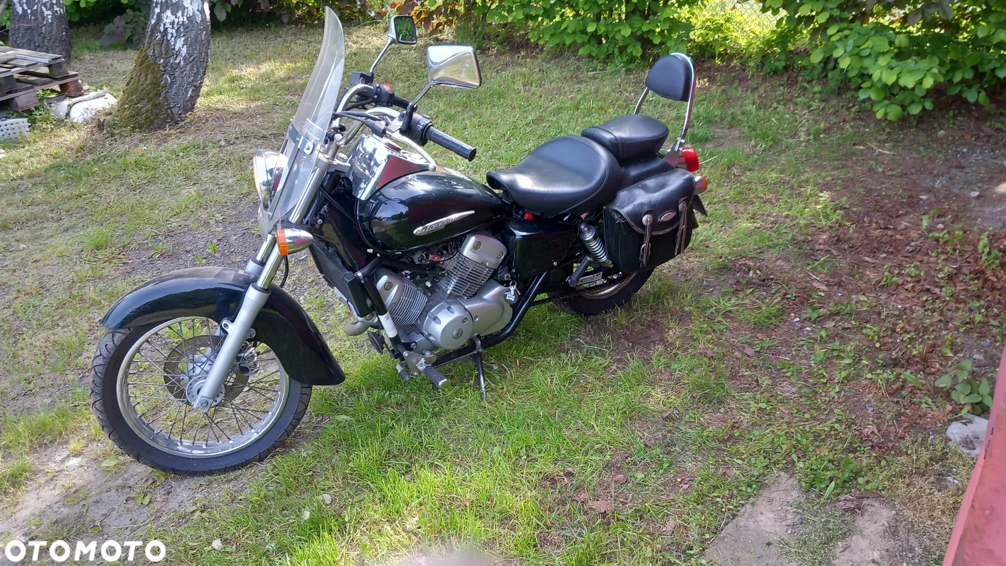 Honda Shadow - 8