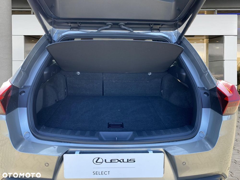 Lexus UX 250h GPF F Sport Design 2WD - 16