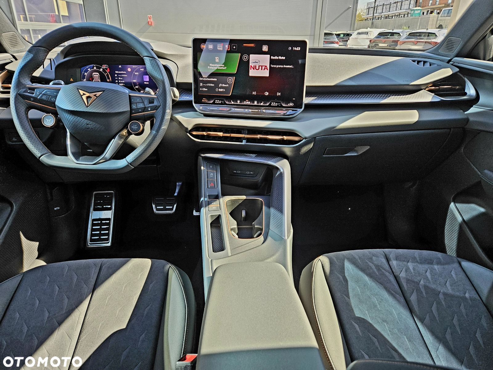 Cupra Terramar - 17
