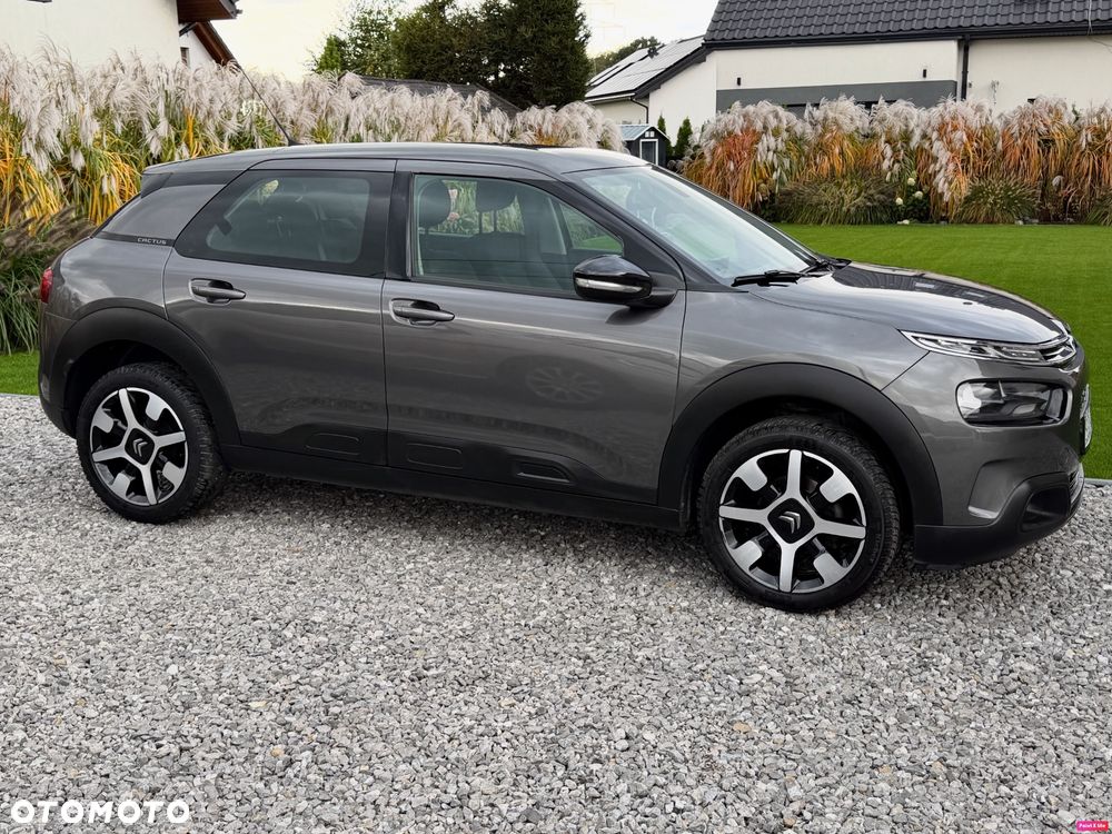 Citroën C4 Cactus Pure Tech e-THP 110 Stop&Start Shine - 3