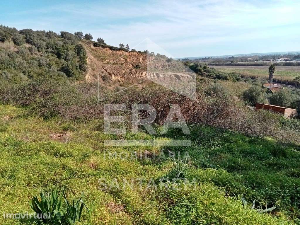 Terreno com 13000 m2 em Santarém - Grande imagem: 5/9