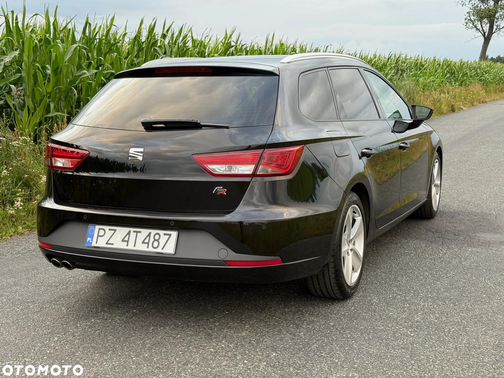 Seat Leon 2.0 TDI DPF DSG FR - 3
