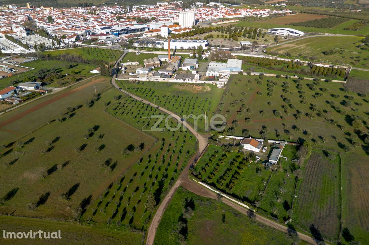Armazens de atividade Industrial - Lagar de Azeite - Moura - Grande imagem: 2/59