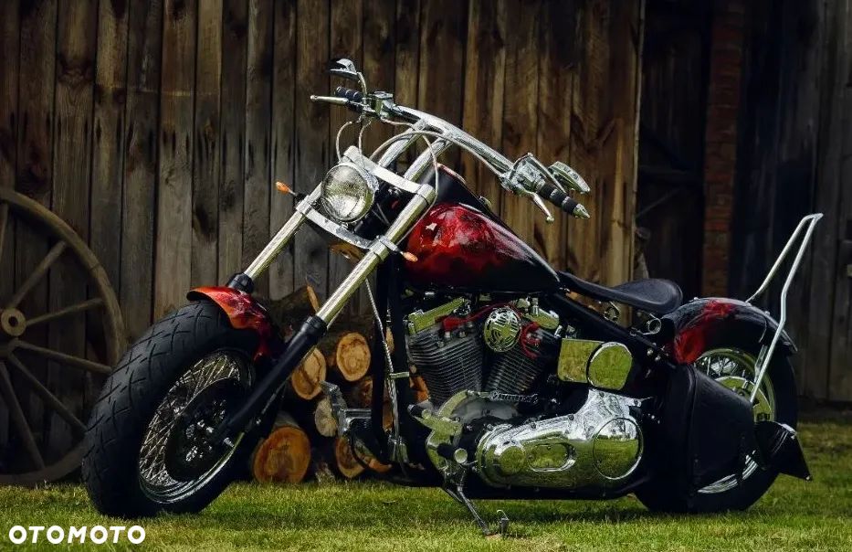 Harley-Davidson Softail Custom - 2