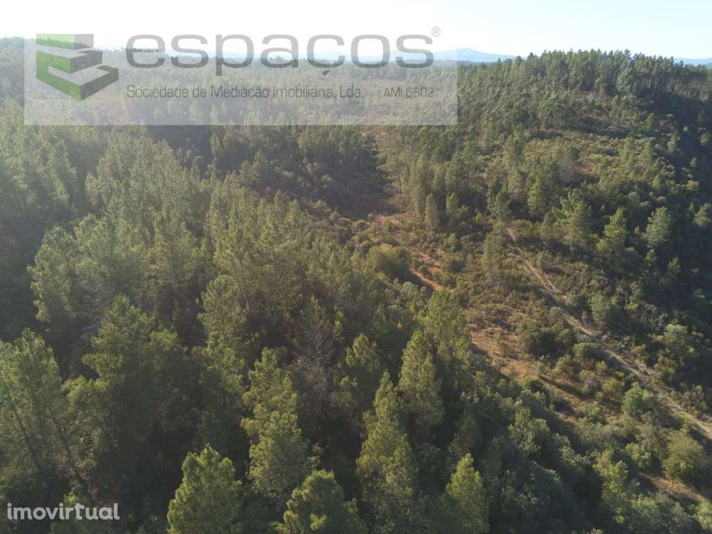 Cova das Medronheiras - Chão da Vã - Grande imagem: 5/10