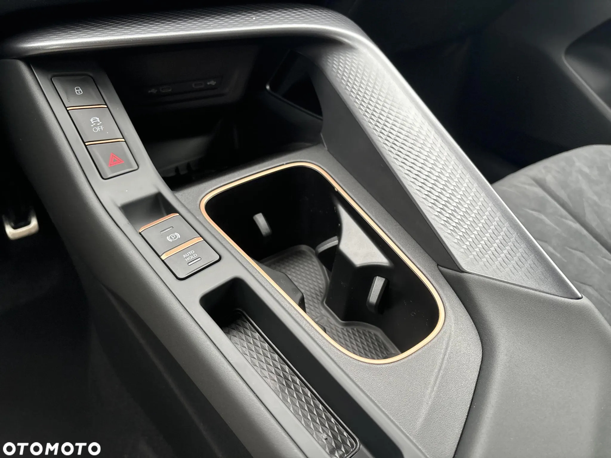 Cupra Terramar 2.0 TSI 4Drive DSG - 23