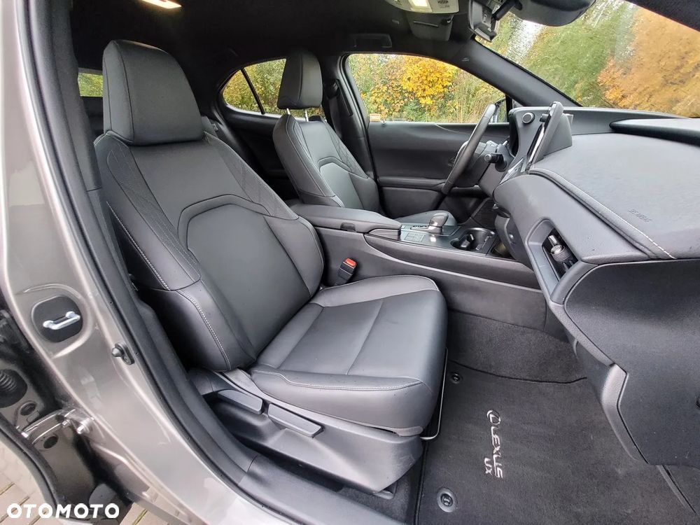 Lexus UX 300h F Sport Design - 15
