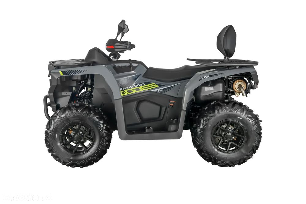 Suzuki Kingquad - 8