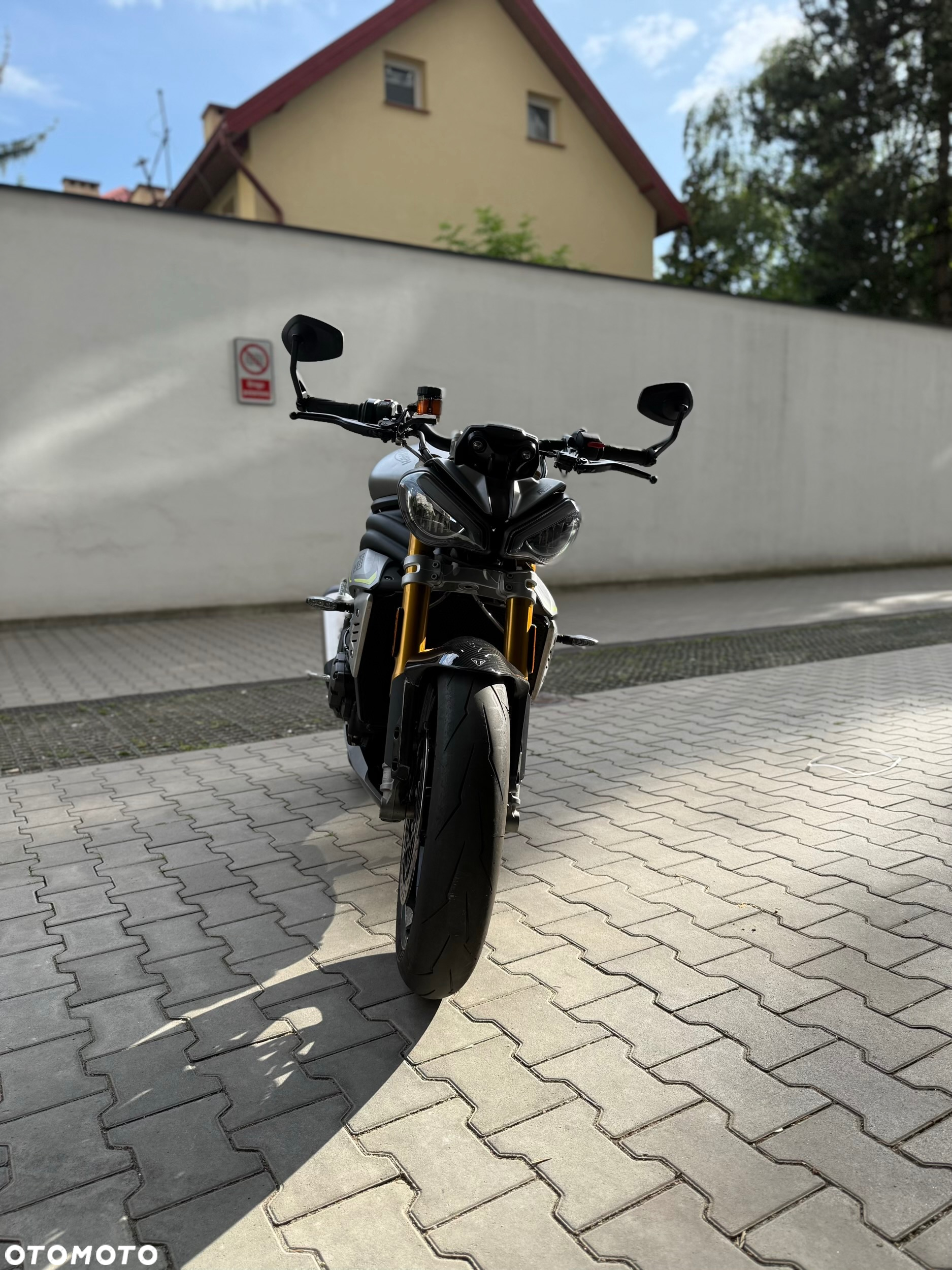 Triumph Speed Triple - 6
