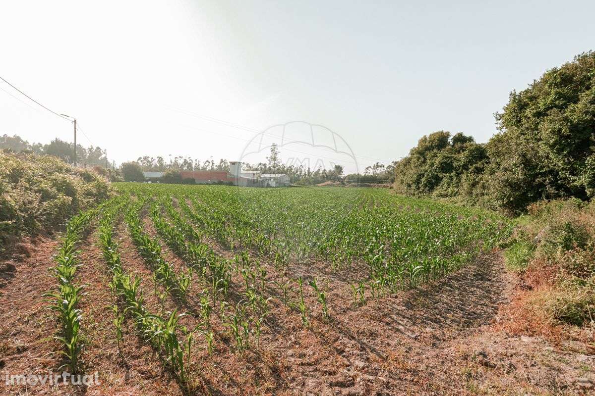 Terreno  para venda - Grande imagem: 4/6