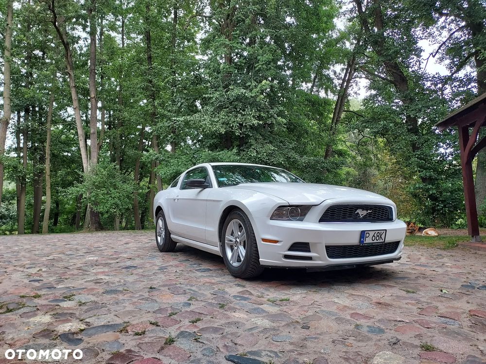 Ford Mustang 3.7 V6 - 37