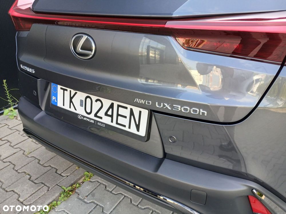 Lexus UX 300h F Sport Design AWD - 35