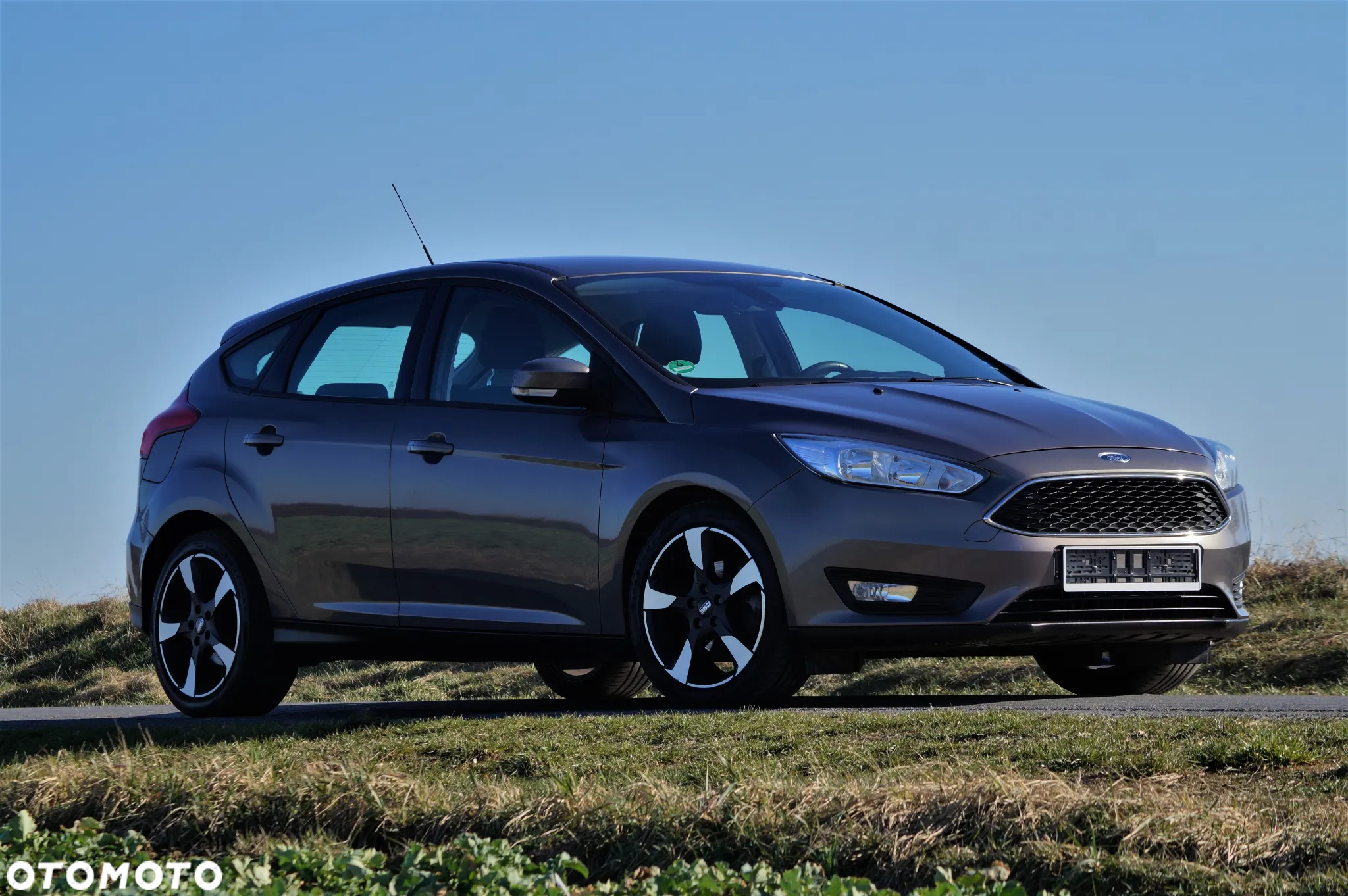 Ford Focus - 9