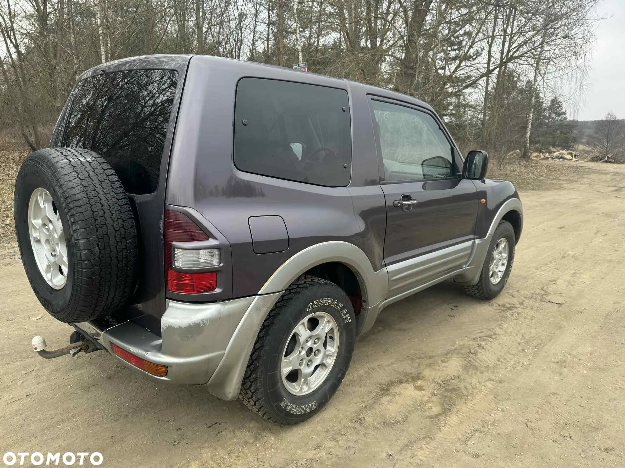 Mitsubishi Pajero - 2