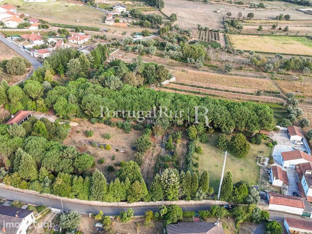 Quinta com Moradia T5 em Águeda - Grande imagem: 3/60