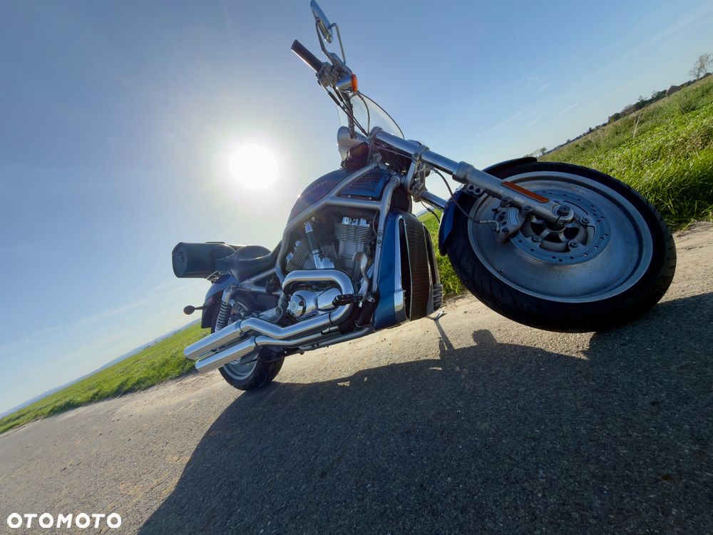 Harley-Davidson V-Rod Street Rod - 1