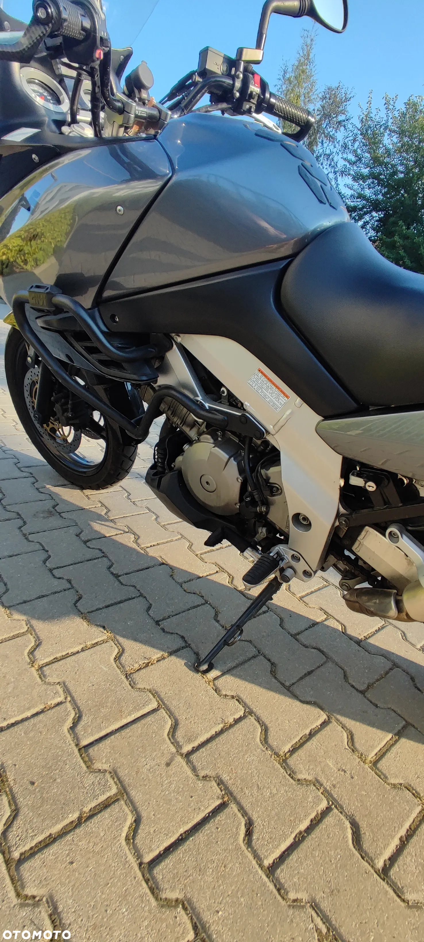 Suzuki DL - 12