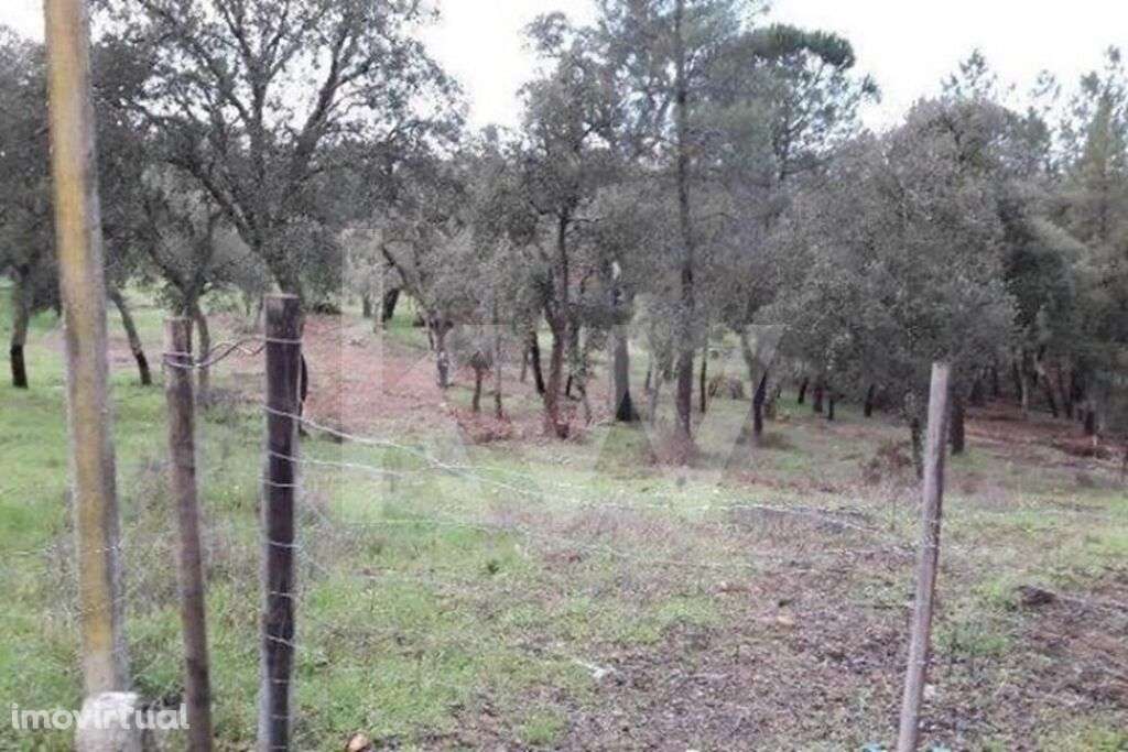 Terreno rústico - Grande imagem: 3/4