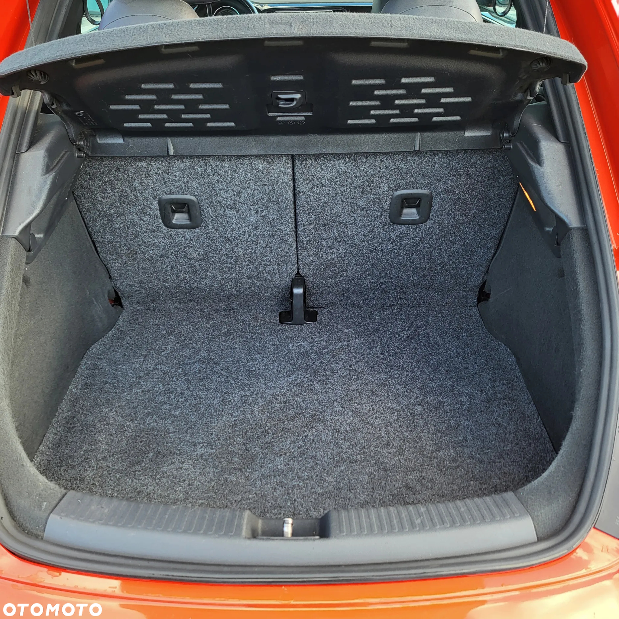 Volkswagen Beetle - 9
