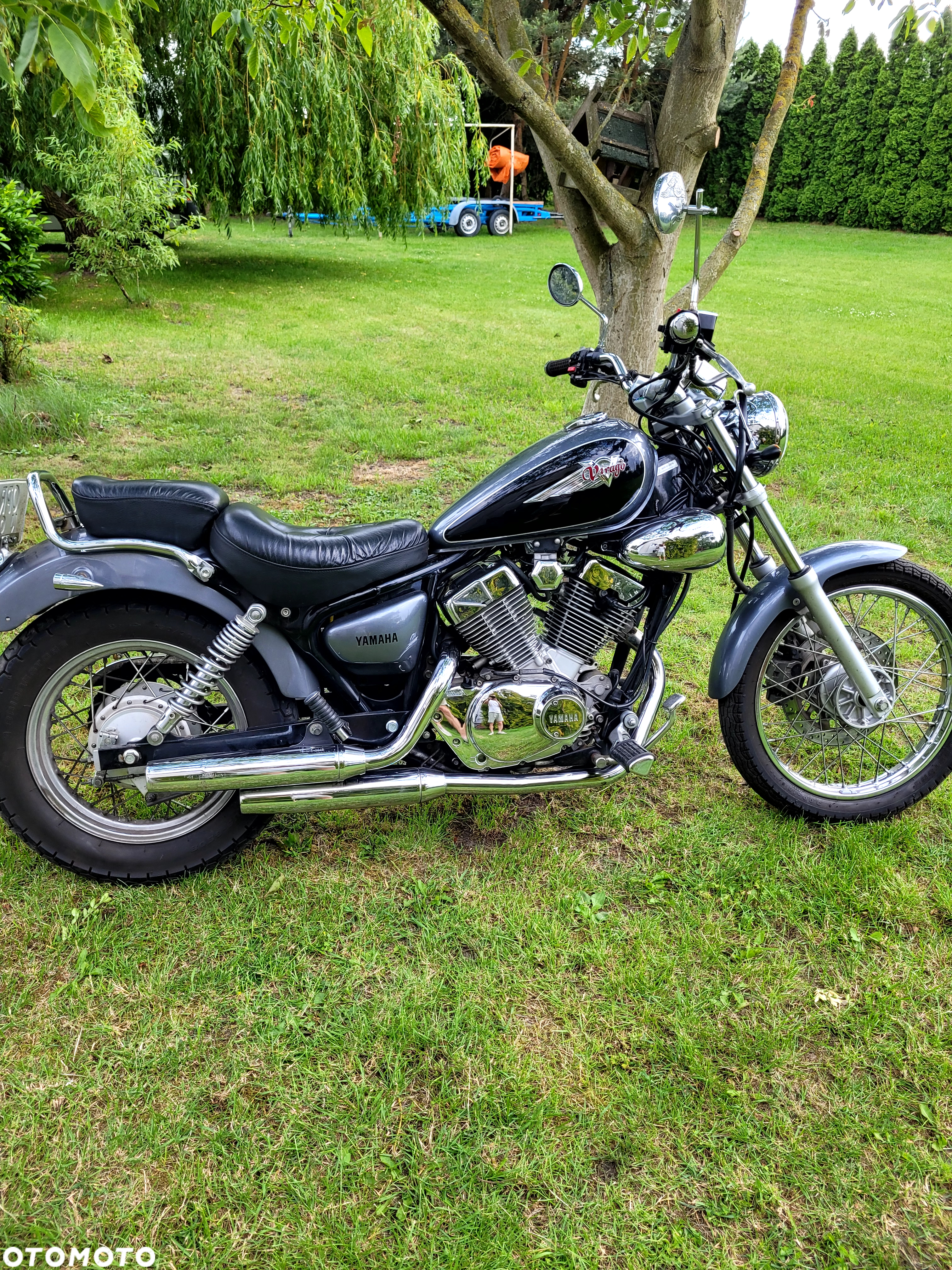 Yamaha Virago - 3
