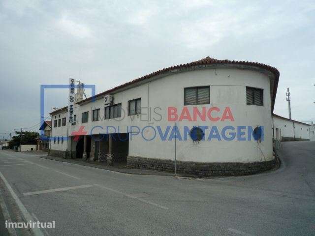 CAVES DO FREIXO  - ANADIA - Grande imagem: 5/11
