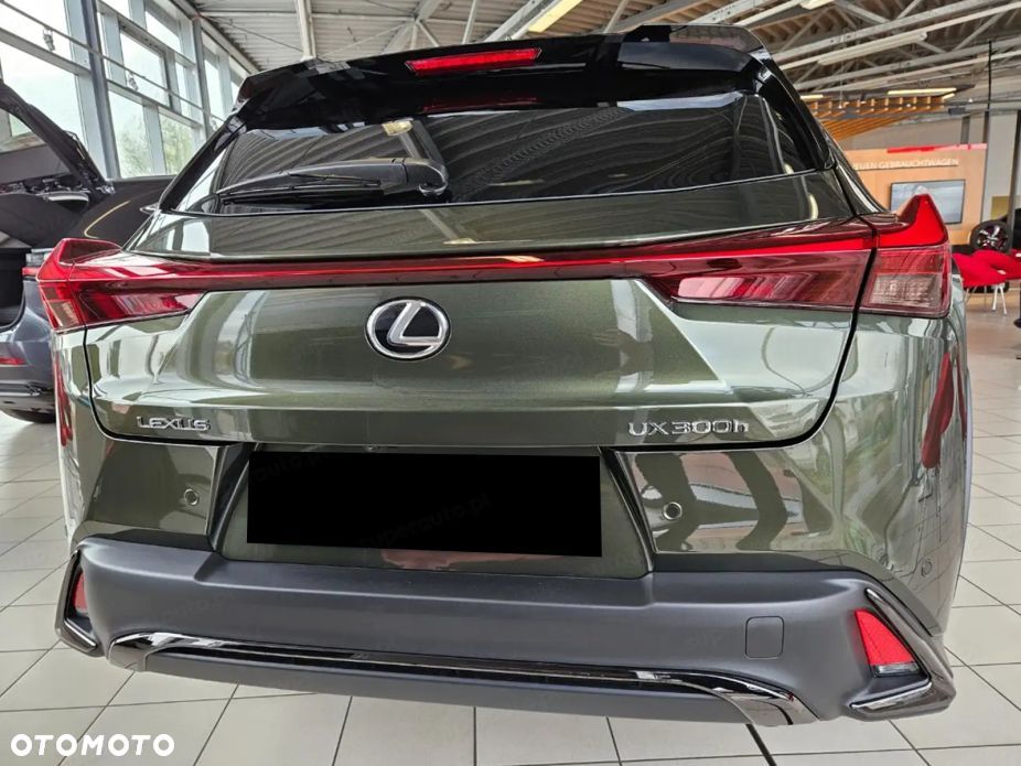 Lexus UX 300h F Sport - 5
