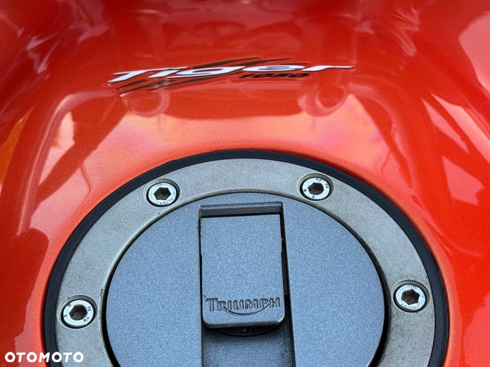 Triumph Tiger - 16