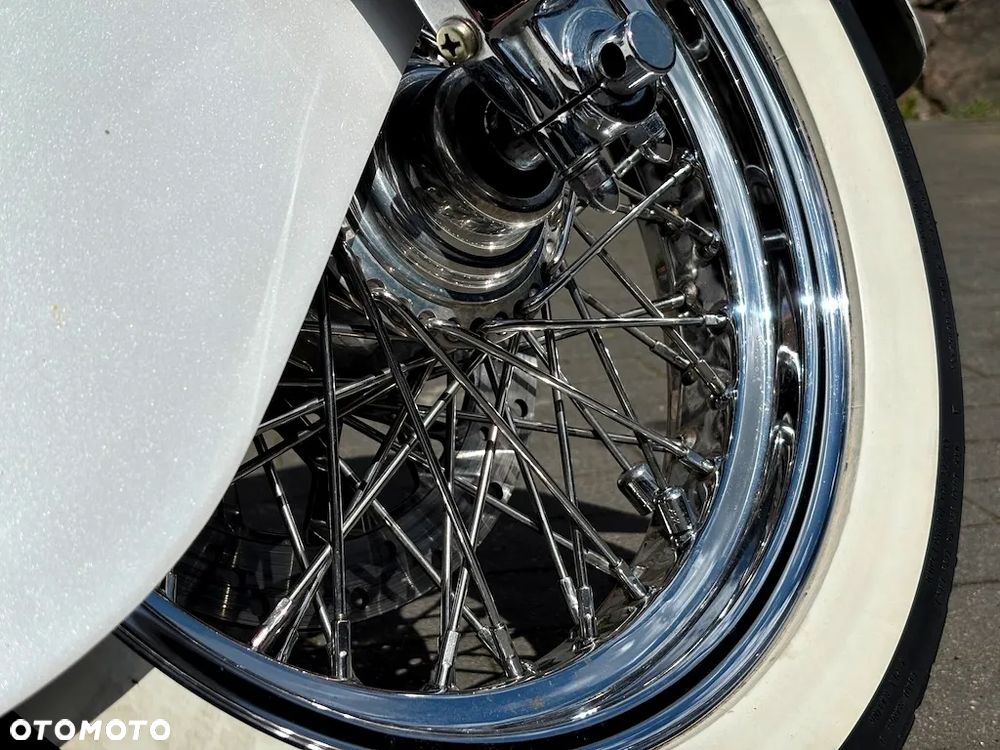 Indian Chief - 7