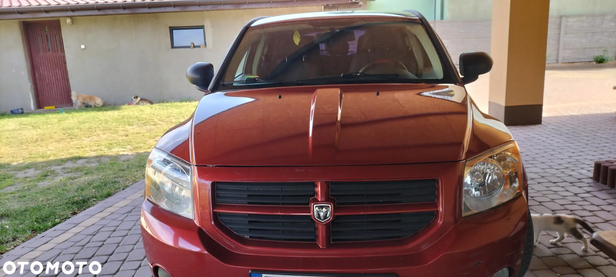 Dodge Caliber 2.0 CRD SE - 15