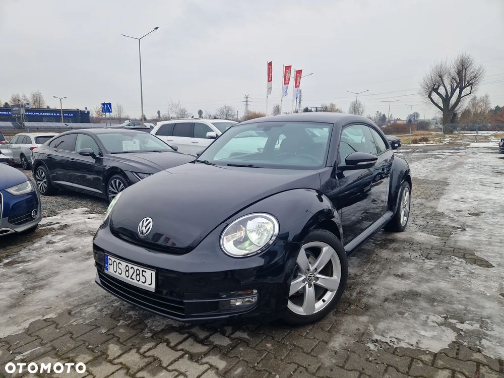 Volkswagen Beetle - 1