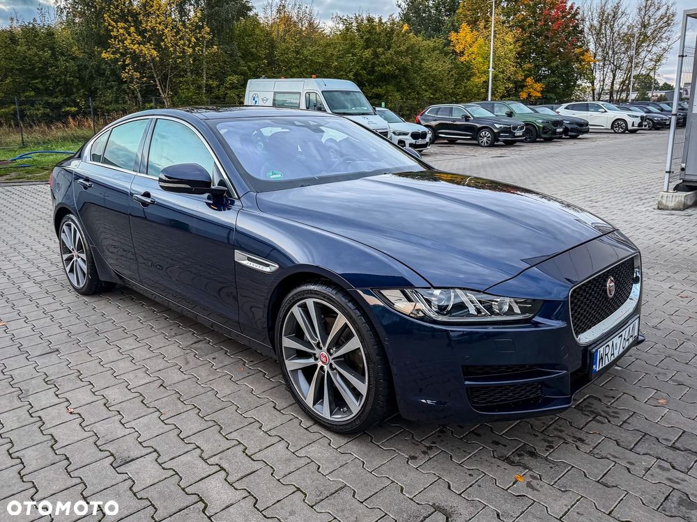 Jaguar Xe 2015 photo 4