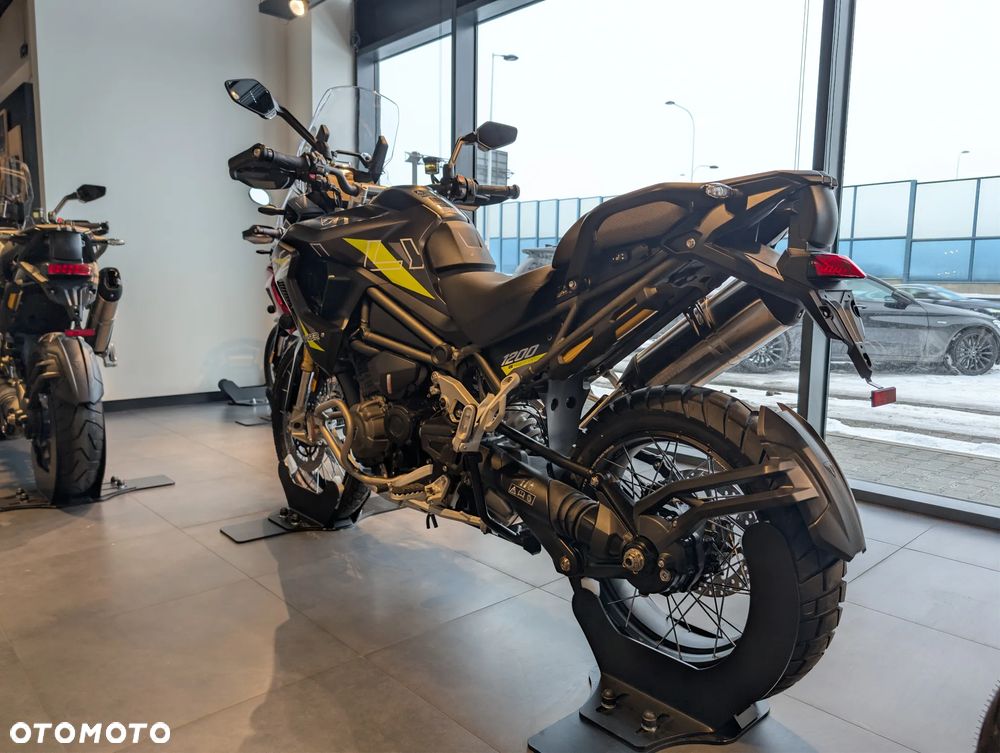 Triumph Tiger - 4
