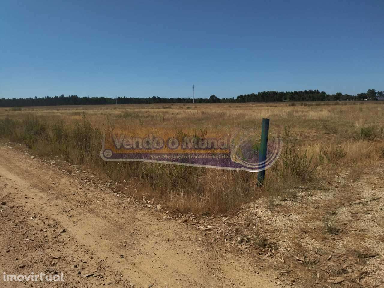 Terreno em Glória do Ribatejo (GLR040) - Grande imagem: 2/11