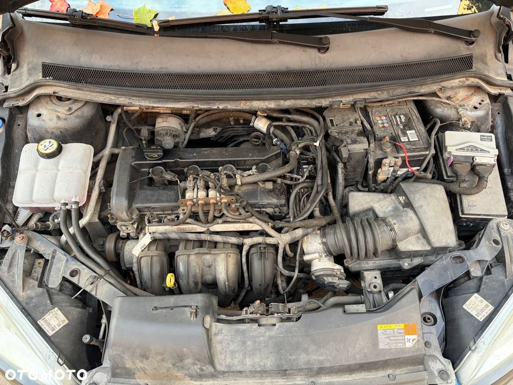 Ford Focus - 18