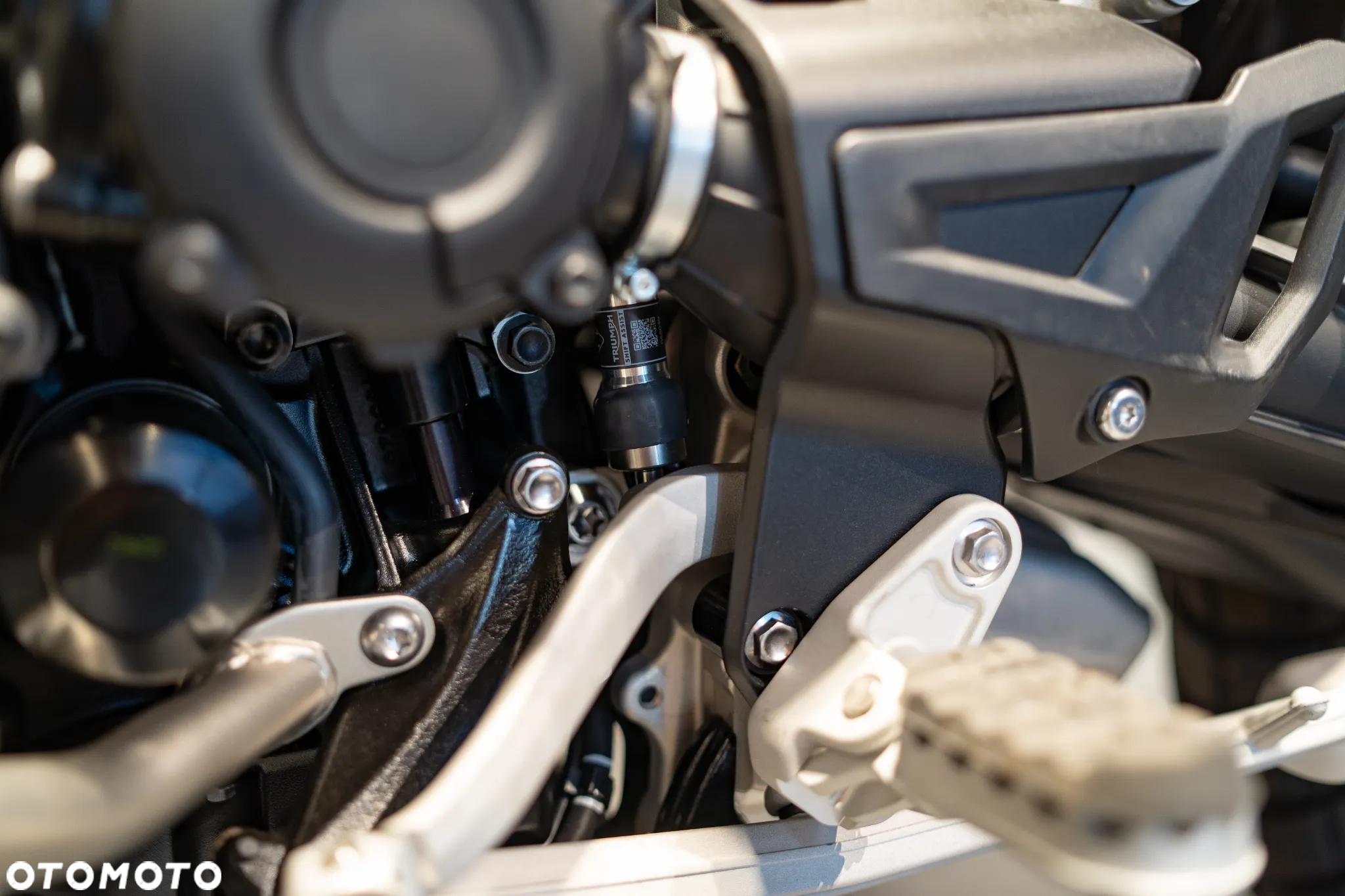 Triumph Tiger - 18