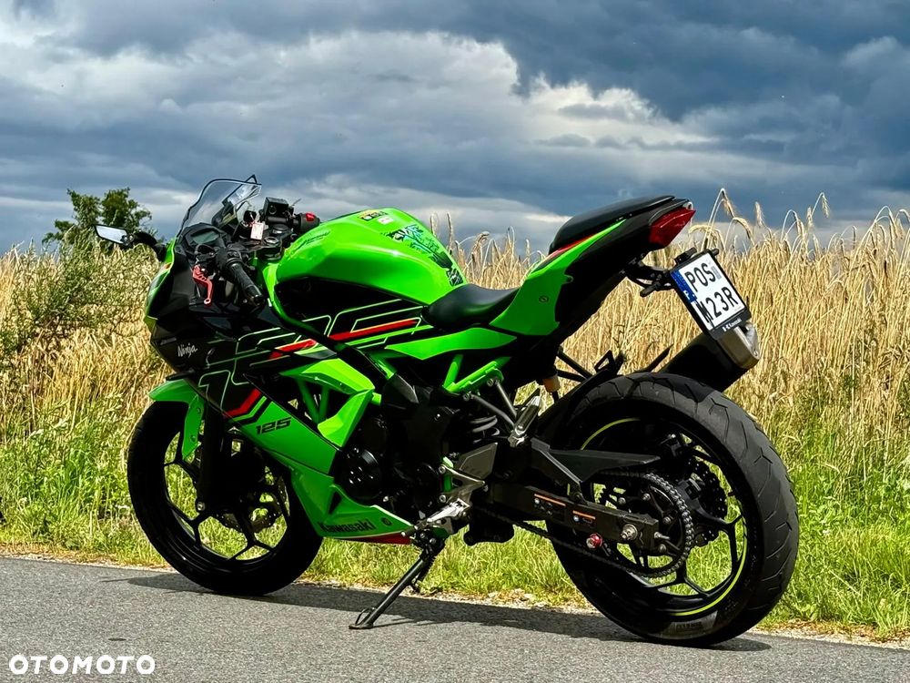 Kawasaki Ninja - 10